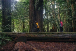 Columbia Peakfreak XCRSN Mid Waterproof Boots - Big Kids|-|Bottes Mi-hautes Imperméables Peakfreak XCRSN Grand Enfant 15 Columbia Peakfreak XCRSN Mid Waterproof Boots - Big Kids|-|Bottes Mi-hautes Imperméables Peakfreak XCRSN Grand Enfant -Columbia Shop COL 1789971 7E 7ELifestyle 20Two