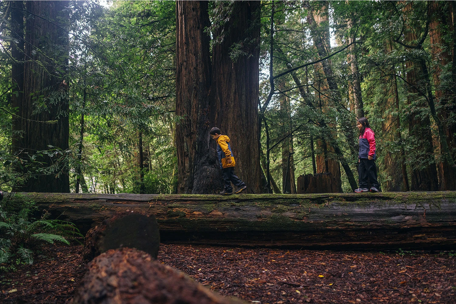 Columbia Peakfreak XCRSN Mid Waterproof Boots - Big Kids|-|Bottes Mi-hautes Imperméables Peakfreak XCRSN Grand Enfant 6 Columbia Peakfreak XCRSN Mid Waterproof Boots - Big Kids|-|Bottes Mi-hautes Imperméables Peakfreak XCRSN Grand Enfant - Image 4