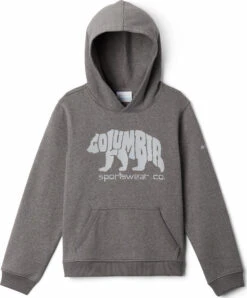Columbia Park Hoodie - Boys|-|Chandail à Capuchon Columbia Park - Garçon 16 Columbia Park Hoodie - Boys|-|Chandail à Capuchon Columbia Park - Garçon -Columbia Shop COL 1887811 7ECharcoal 20Heather 20Columbia 20Bear